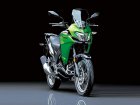 Kawasaki Versys-X 300